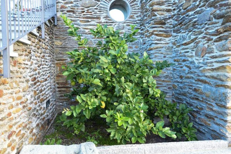 Agriturismo Il Colle image