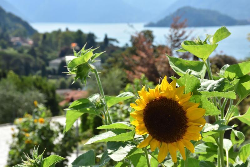 Agriturismo Il Colle image