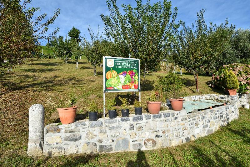 Agriturismo Il Colle image