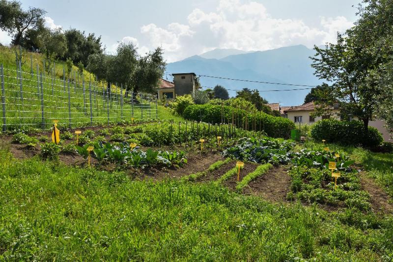 Agriturismo Il Colle image