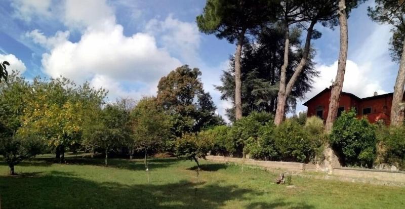 B&B Vigna dell'Agrifoglio image