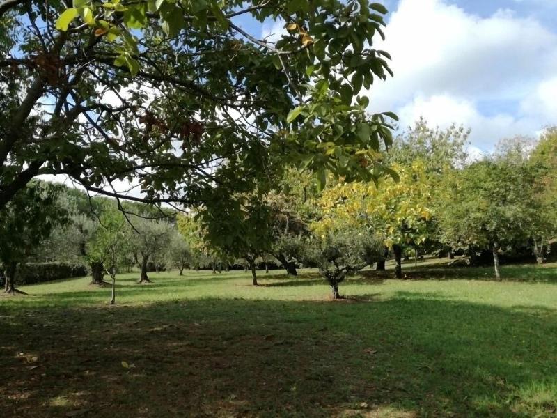 B&B Vigna dell'Agrifoglio image