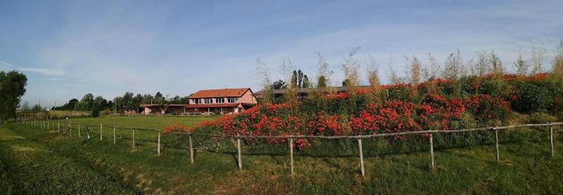 Agriturismo Podere Amati image