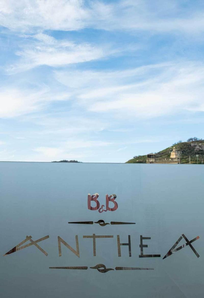 B&B Anthea image