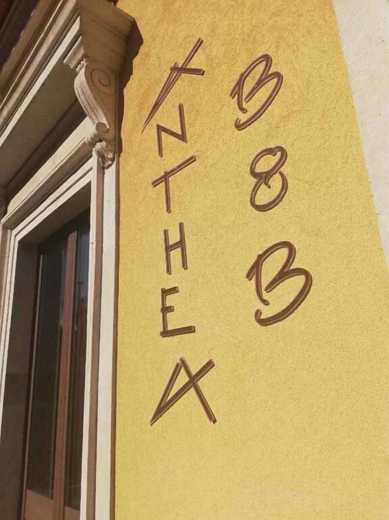 B&B Anthea image