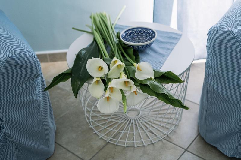B&B Anthea image