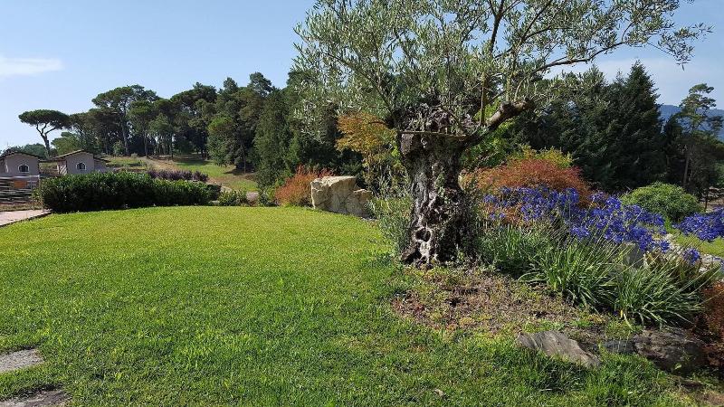 Agriturismo Podere Montese image