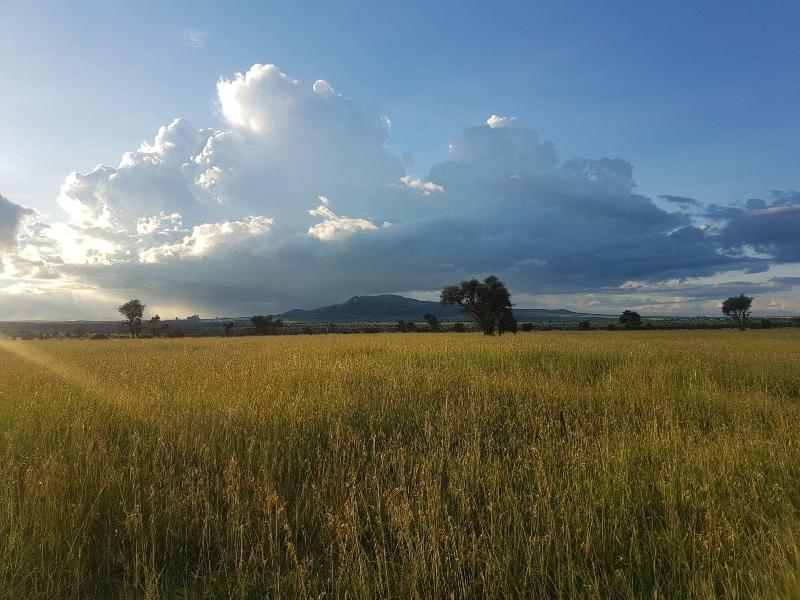 Swara Acacia Lodge image
