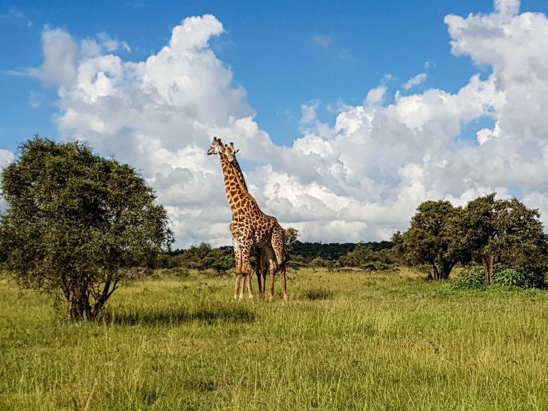 Swara Acacia Lodge image