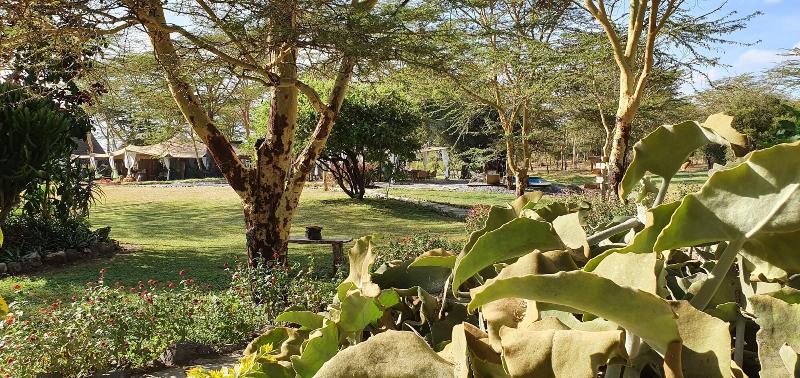 Swara Acacia Lodge image