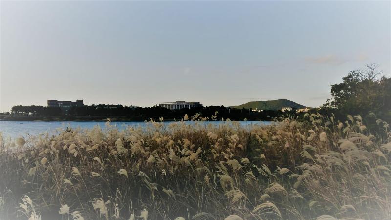 The Best Jeju Seongsan Hotel image
