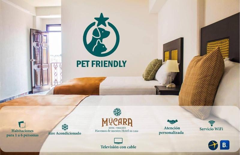 Hotel MÃºcara image