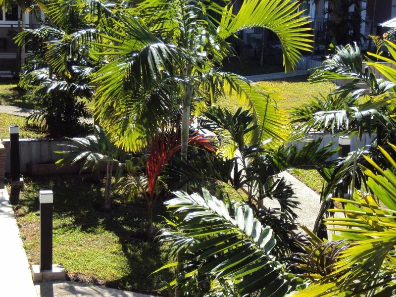 Hotel Colibri image