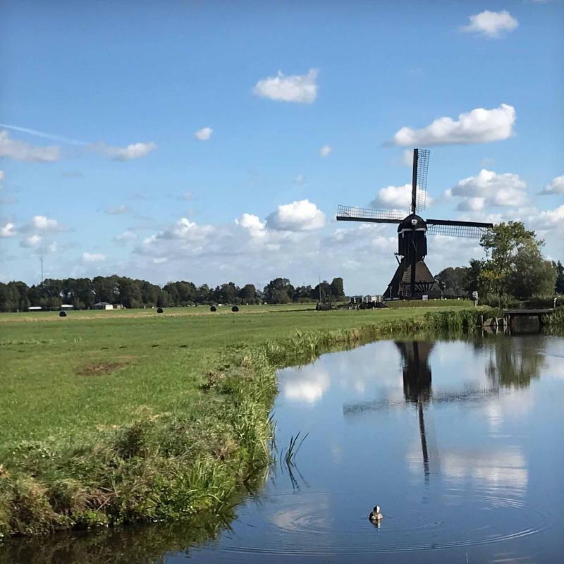Gastenverblijf Rodenburg image
