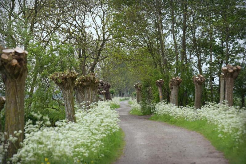 Gastenverblijf Rodenburg image