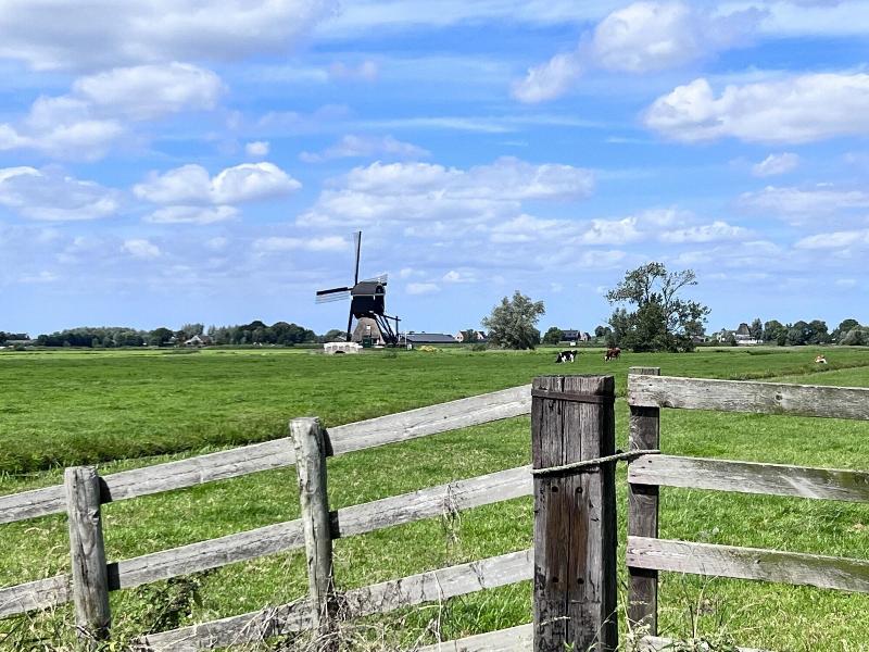 Gastenverblijf Rodenburg image