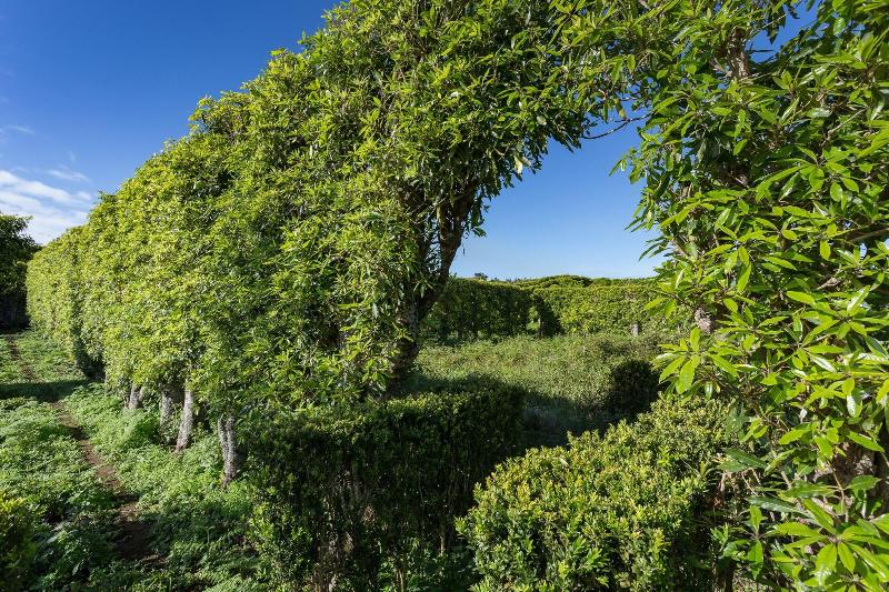 Quinta do Paraizo