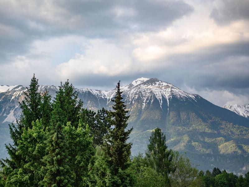 Vila Ula La Luxury Apartments Bled image