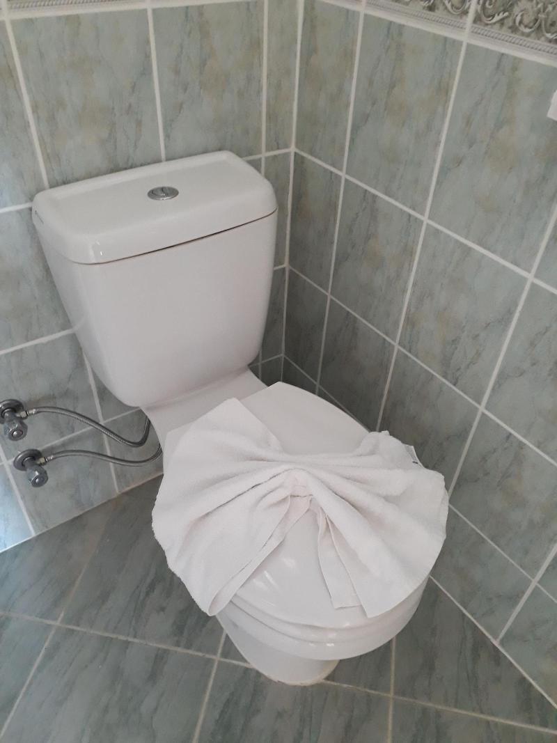 Hotel NilSu image