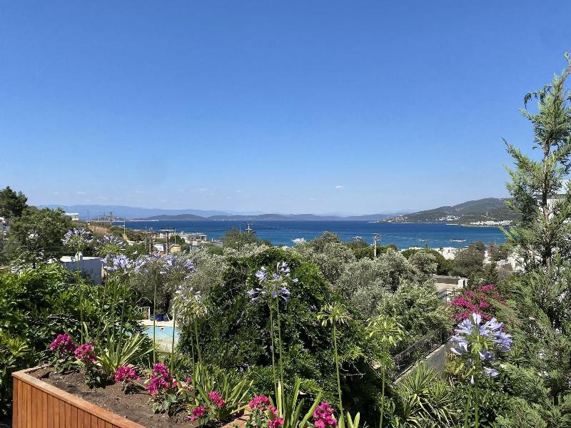 Olivia Hotel