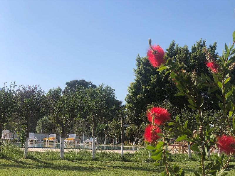 Hotel Palme Dalyan image