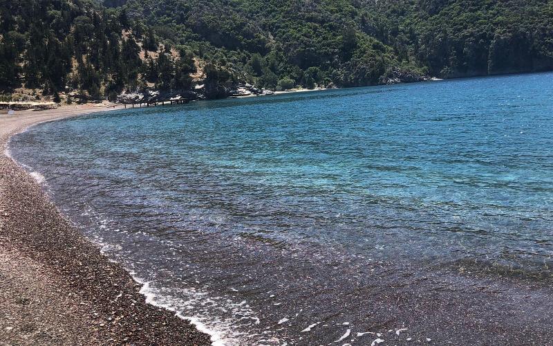 Hotel Palme Dalyan image