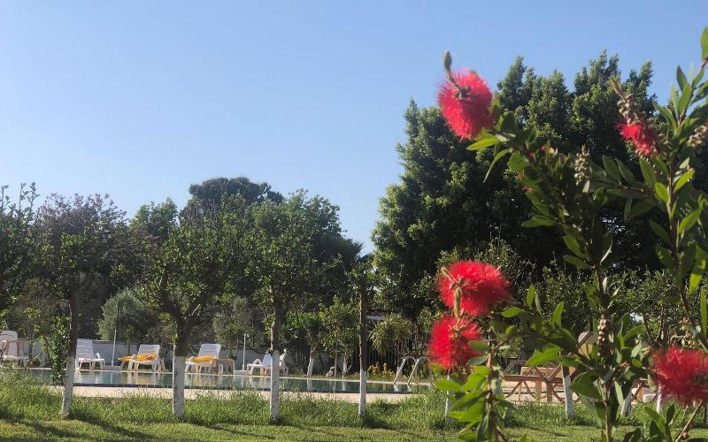 Hotel Palme Dalyan image