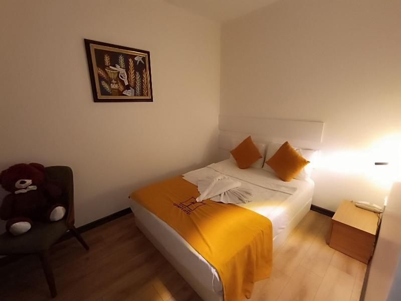 Turka Loca City Hotel image
