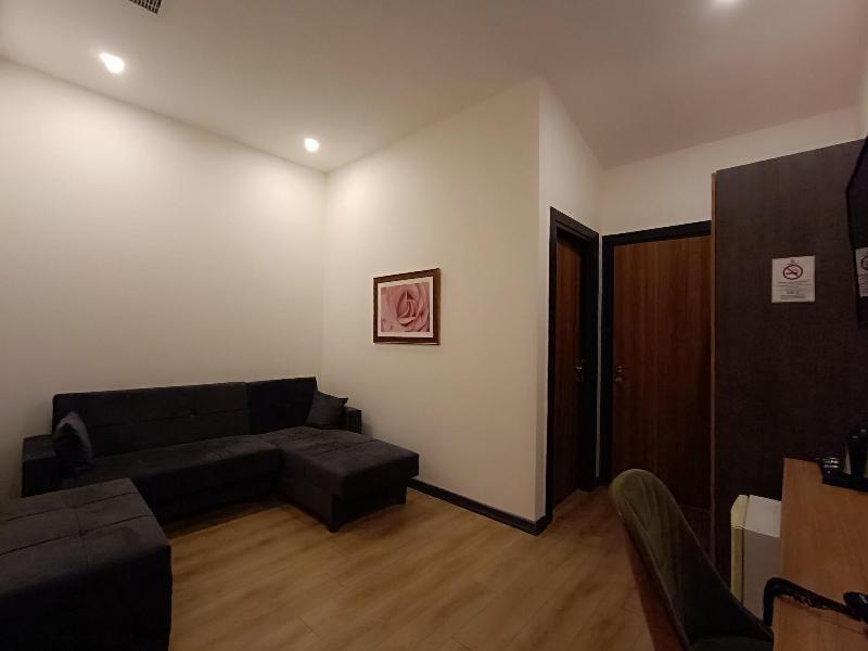Turka Loca City Hotel image