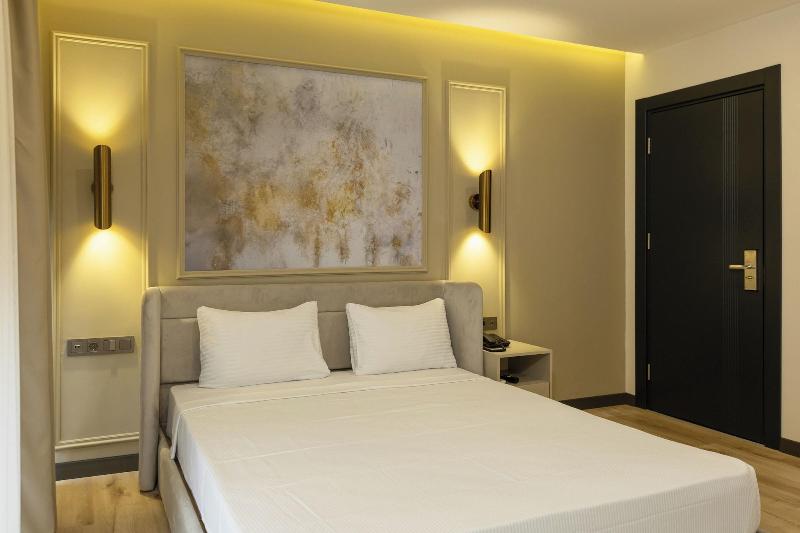 Turka Loca City Hotel image