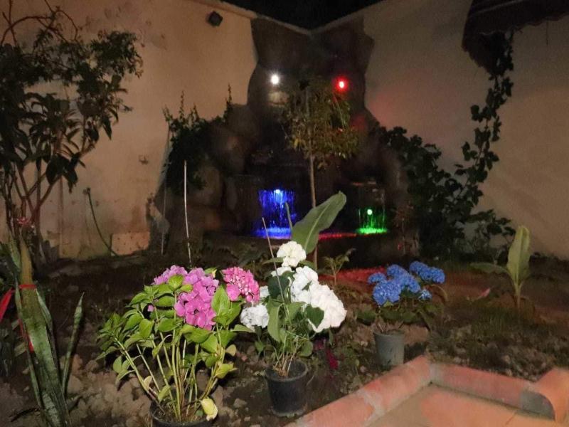 Oz Butik Otel Antik Kent Myrleia image