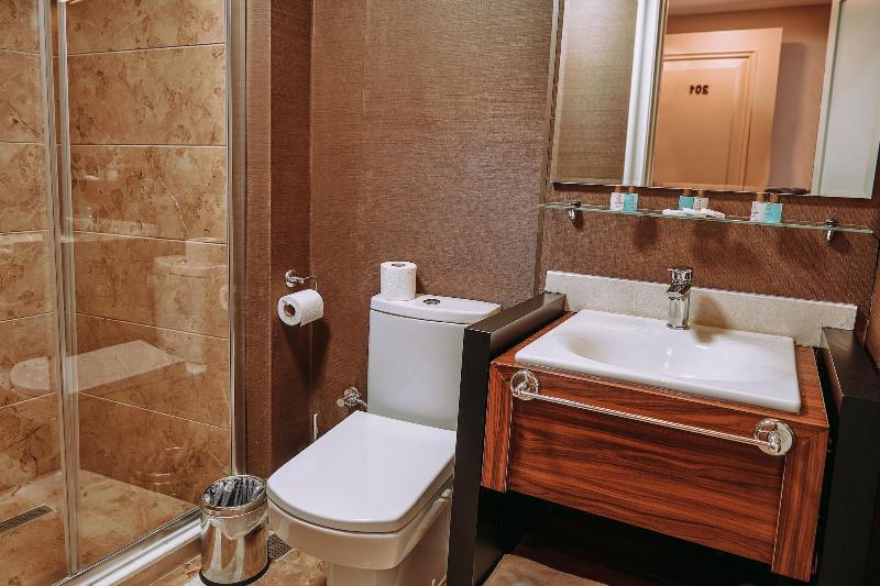 Armida City Hotel image