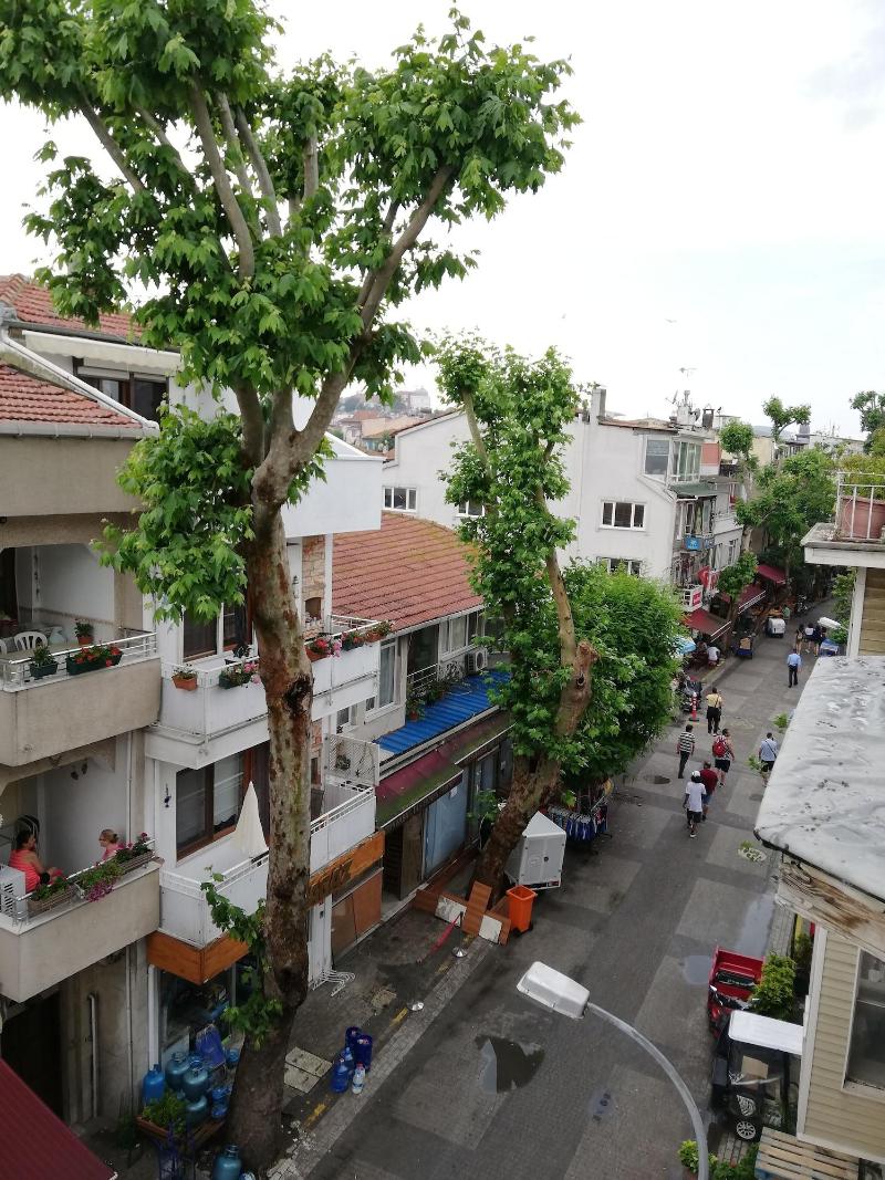 My Way Teras Butik Otel — general view