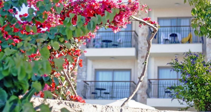 Molino Hotel image