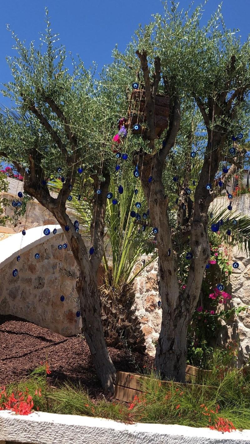 Molino Hotel image