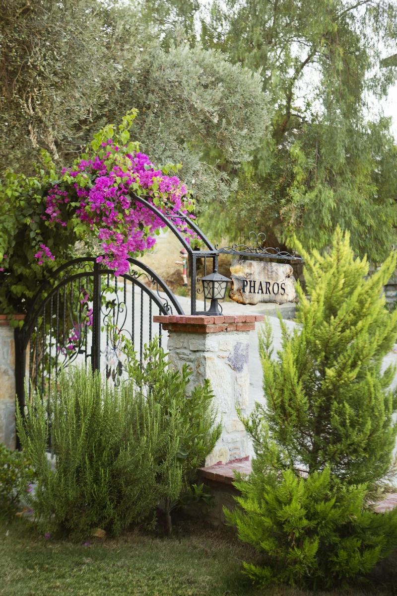 Pharos Boutique Hotel image