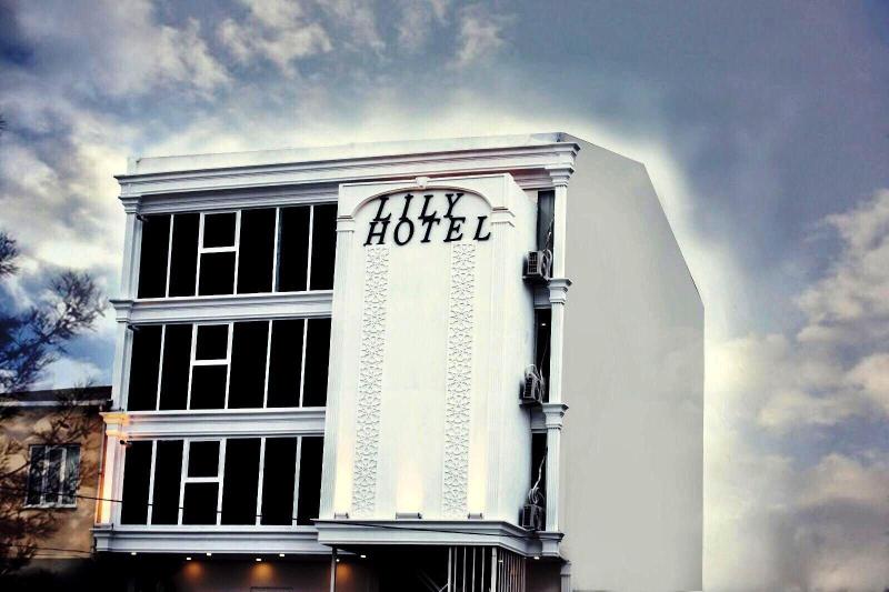 Lily Airport Otel image