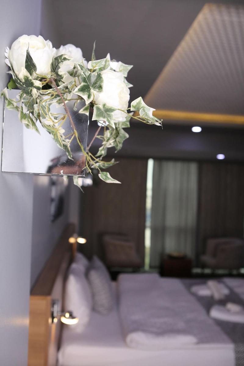 Lily Airport Otel image