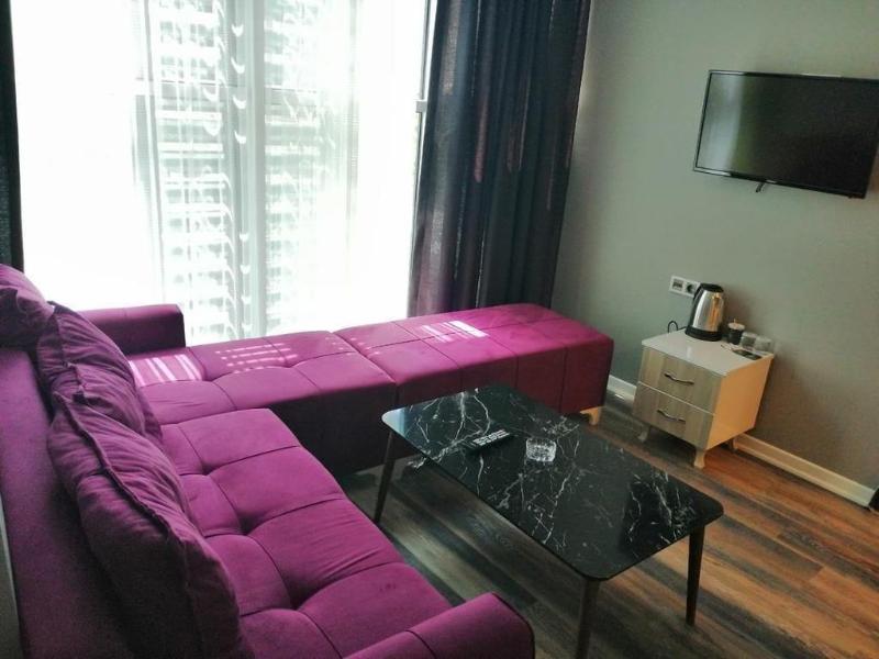 Plus Park Suite & Hotel image