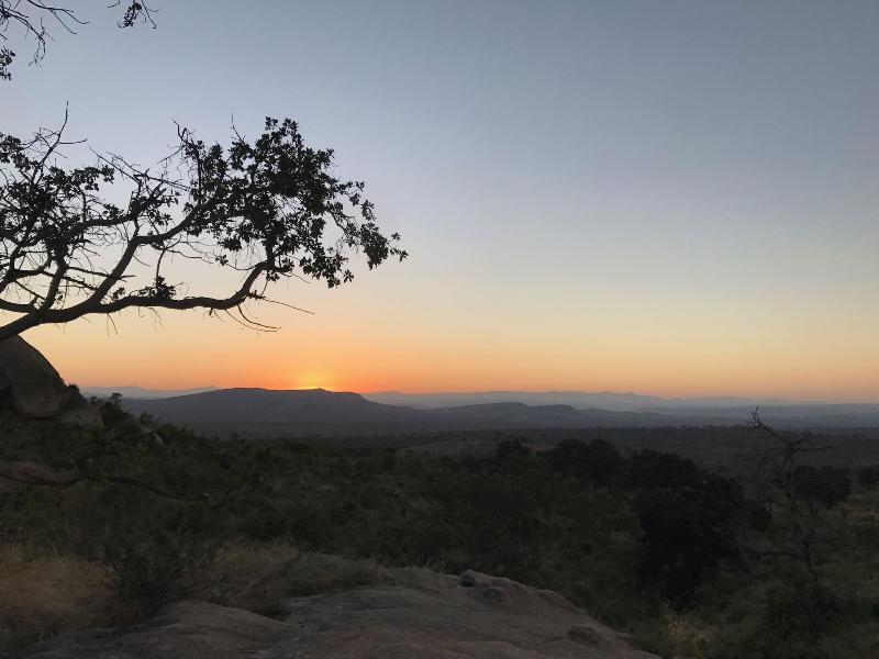 Mdluli Safari Lodge — photo 3