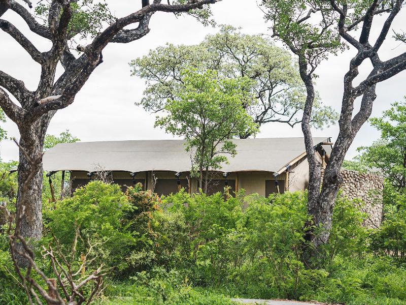 Mdluli Safari Lodge — photo 5