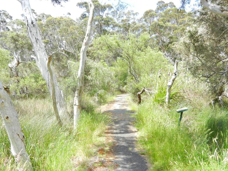 Walpole Rest Point Caravan Park