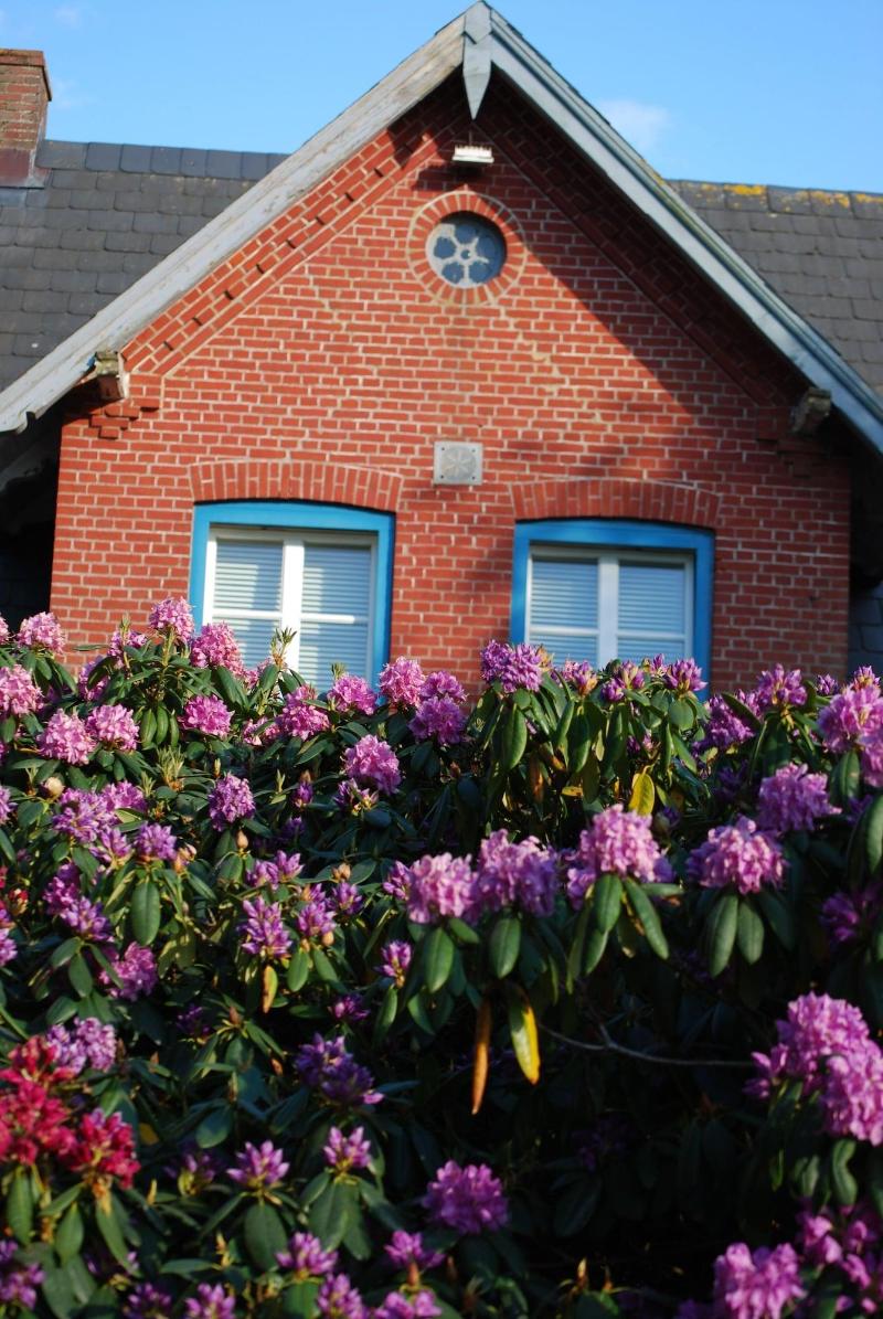 Hotel - Pension Altes Pastorat image