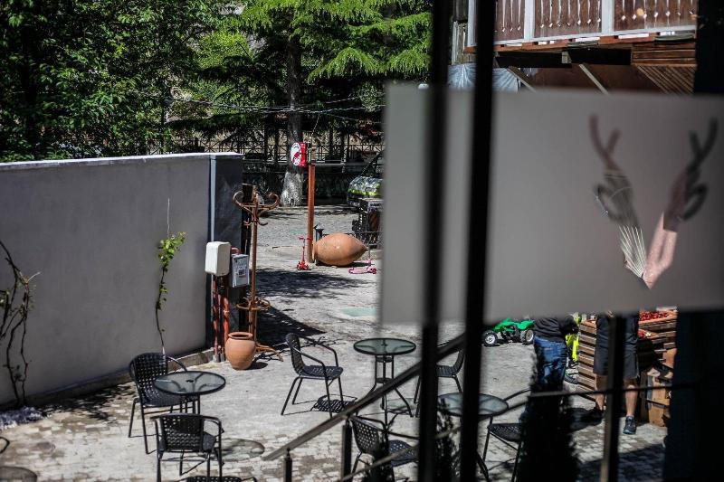 Borjomi Underwood Hotel image