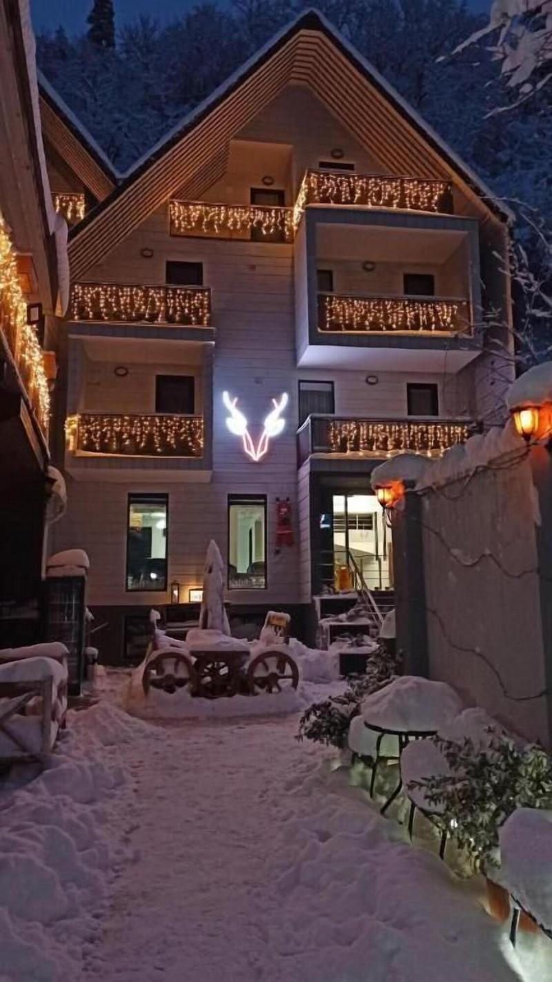 Borjomi Underwood Hotel image