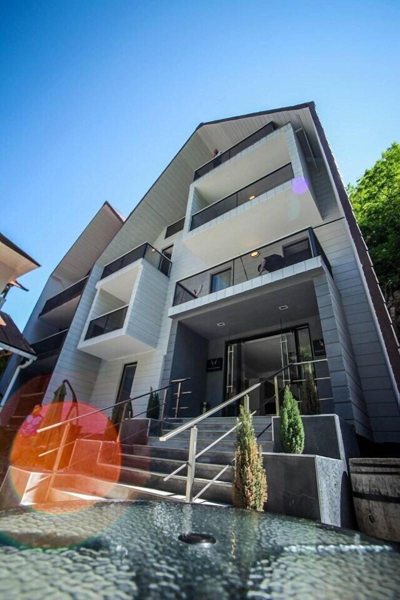 Borjomi Underwood Hotel image