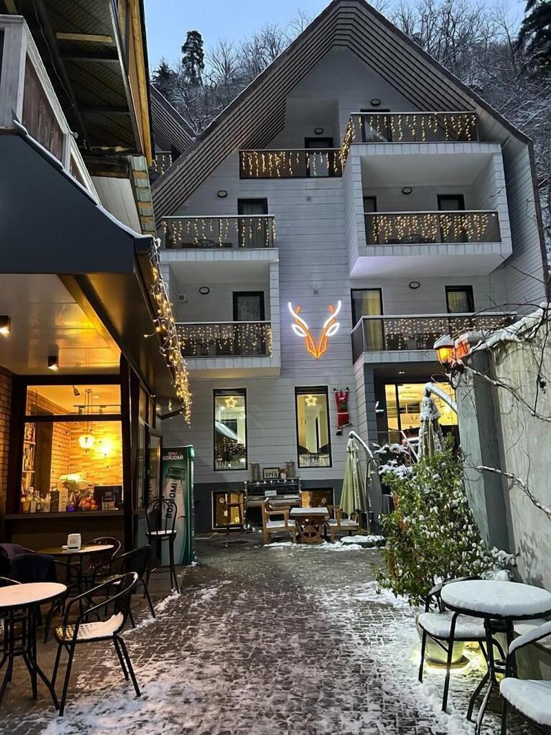 Borjomi Underwood Hotel image