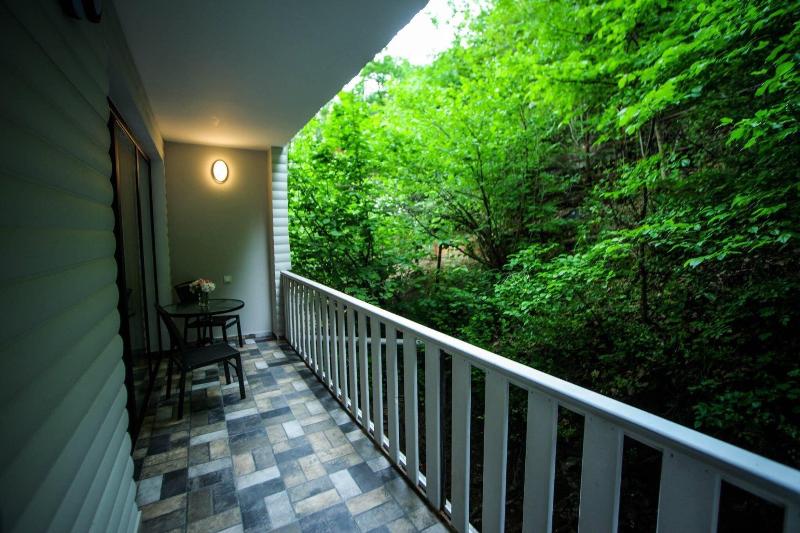 Borjomi Underwood Hotel image