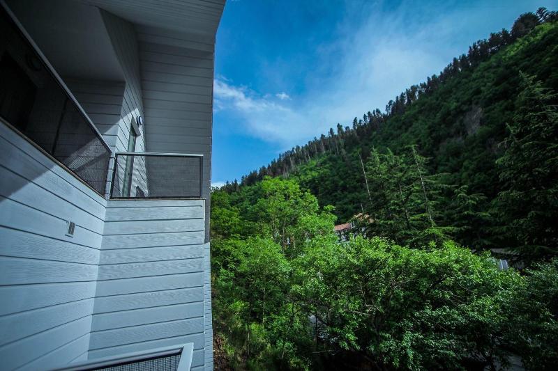 Borjomi Underwood Hotel image