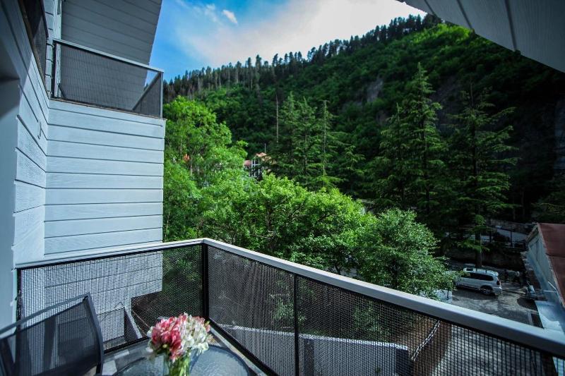 Borjomi Underwood Hotel image